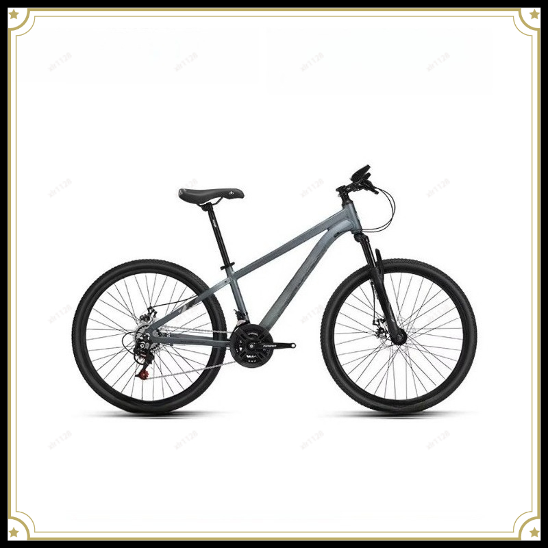 Mountain Bike Variable Speed B - Commuting With Bike recension och pris