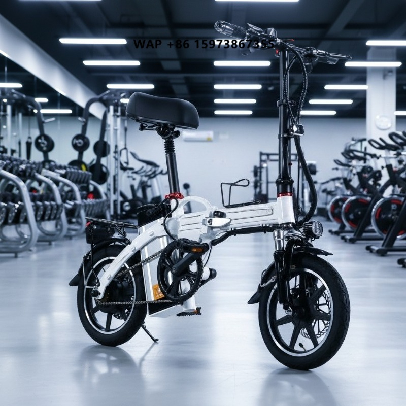 Mini Folding Electric Bike Fac - Commuting With Bike recension och pris
